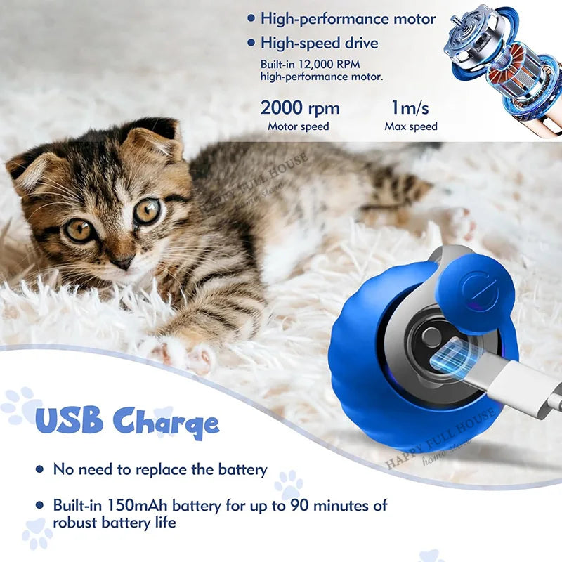 Interactive Cat Toy Balls, Automatic Toys for Cat with Replacement Tail, 2 Adjustable Modes, USB-Rechargeable Indoor Kitten Toy.